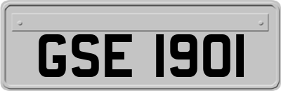 GSE1901