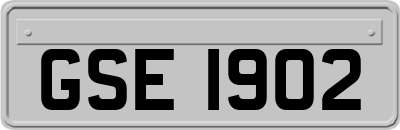 GSE1902