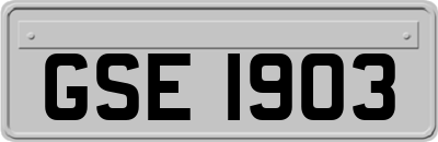 GSE1903