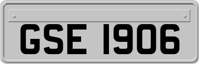 GSE1906