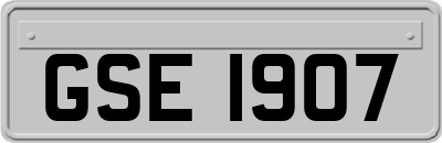 GSE1907