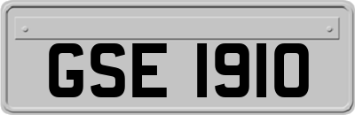 GSE1910