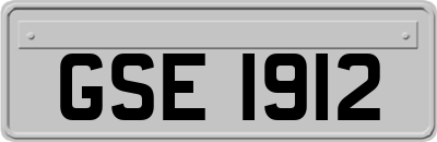 GSE1912