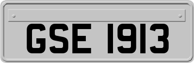 GSE1913
