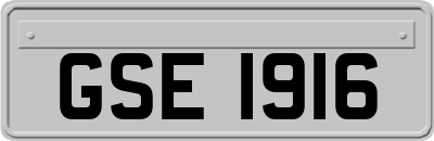 GSE1916