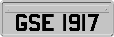 GSE1917