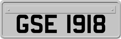 GSE1918