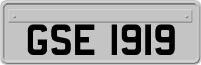 GSE1919