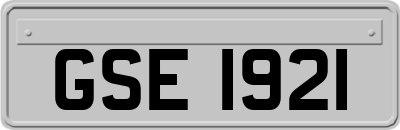 GSE1921