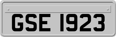 GSE1923