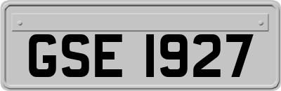 GSE1927