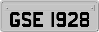 GSE1928
