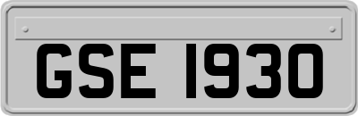 GSE1930