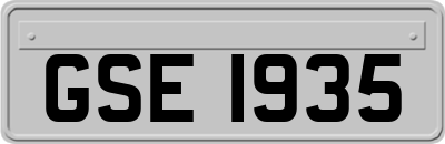 GSE1935
