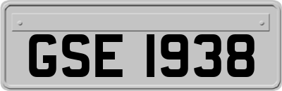 GSE1938