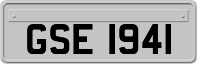 GSE1941