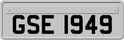 GSE1949