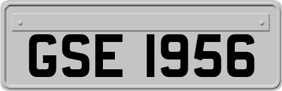 GSE1956