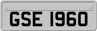 GSE1960