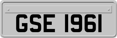 GSE1961