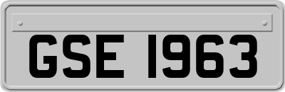 GSE1963