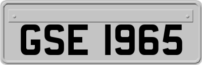 GSE1965