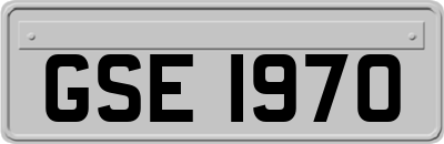 GSE1970