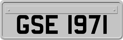 GSE1971