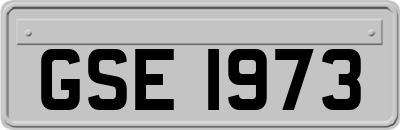 GSE1973