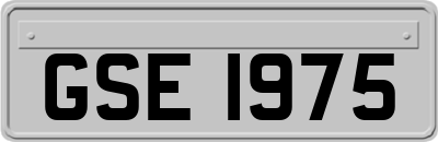 GSE1975
