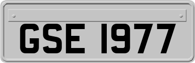 GSE1977