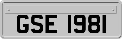 GSE1981