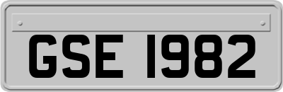 GSE1982
