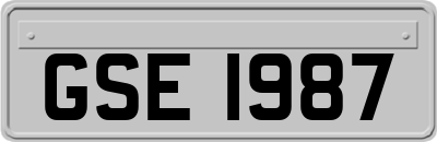 GSE1987