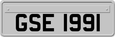 GSE1991