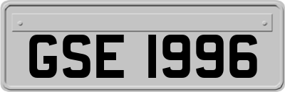 GSE1996