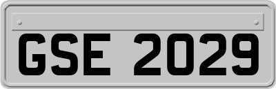 GSE2029