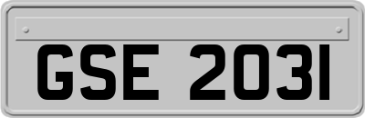 GSE2031