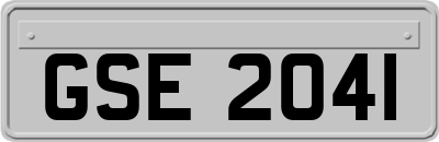 GSE2041