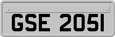 GSE2051