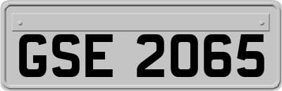GSE2065