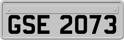 GSE2073