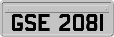 GSE2081