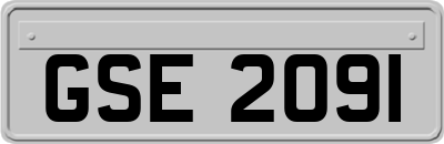 GSE2091