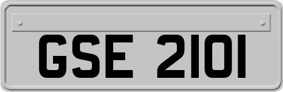 GSE2101