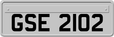 GSE2102