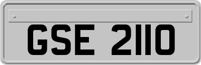 GSE2110