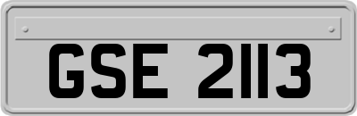 GSE2113
