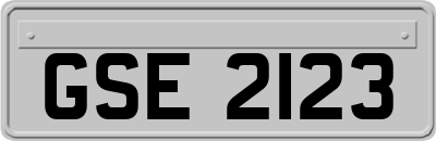 GSE2123