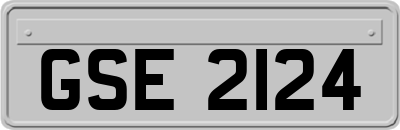 GSE2124